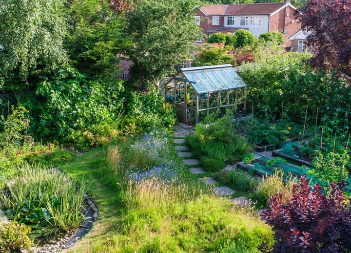6 reasons to downsize your lawn